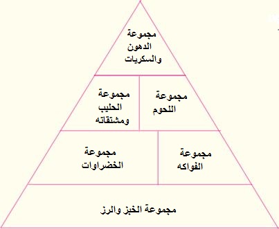 الهرم الغذائي